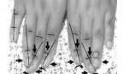 0090005200317388