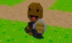 3D Dot Game Heroes 2010 09 23 10 head