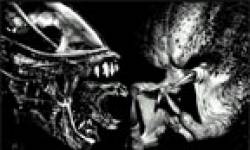 avp icon