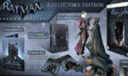 Batman Arkham Origins 12 07 2013 head collector
