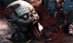 Borderlands zombie island head