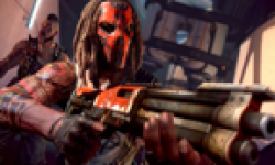 Brink head 11