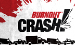 Burnout CRASH 31 08 2011 head