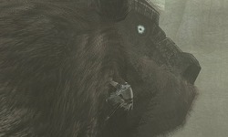 classics hd The ICO and Shadow of the Colossus Collection 22 06 2011 screenshot 9