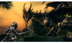 Dark Souls 12 06 2012 screenshot 3