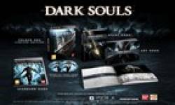dark souls collector 22062011 01 vignette