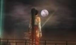 Dead or Alive 5 vignette 29042013