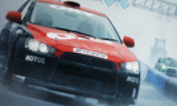 DiRT 3 head 11