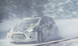 DiRT 3 head 1