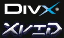 divxxvidlogo