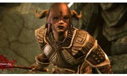 dragon age origins awakening 1