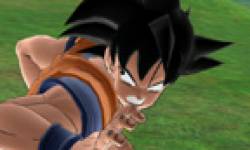 Dragon Ball Raging Blast 2 head 1
