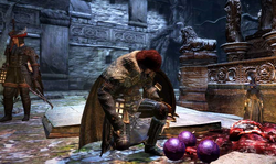 Dragon\'s Dogma Dark Arisen screenshot 28022013 001