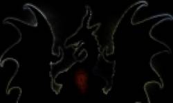 Dragons Dogma Head 08042011 01