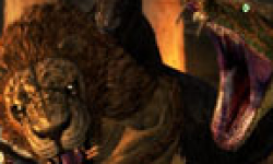 Dragons Dogma Head 160412 01