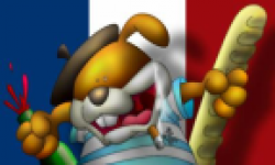 Drapeau France Head Delire