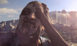 Dying Light 12.06.2013 (3)