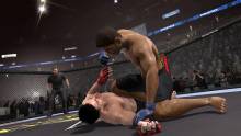 EA Sports MMA (40)