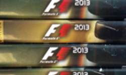 F1 2013 14 07 2013 head