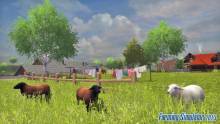 farming-simulator-2013-playstation-3-screenshots (4)