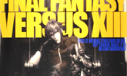 Final Fantasy Versus XIII head 14