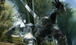 Final Fantasy XIV online head 12062012 02.png
