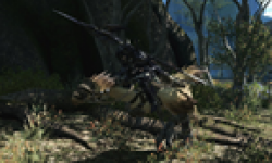 Final Fantasy XIV online head 12062012 03.png
