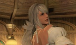 Final Fantasy XIV vignette 30012013