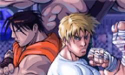 final fight double impact icon