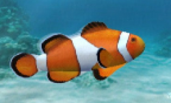 fish wii