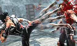 Fist of the North Star 2 Ken\'s Rage logo vignette 26.07.2012