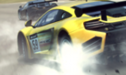GRID 2 31 01 2013 head 2