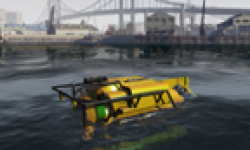 GTA Grand Theft Auto V 26 05 2013 head