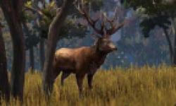 Hunters Trophy Head 03 08 2011 01