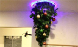 insolite portal sapin vignette head