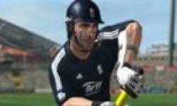 International Cricket 2010 icon