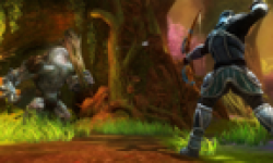Kingdoms of Amalur Reckoning head 4