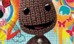 LBP LittleBigPlanet head