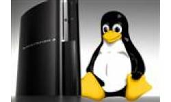 linux image 27032011 001