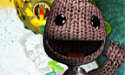 LittleBigPlanet 2 head 8