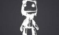 LittleBigPlanet head