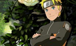 Naruto Shippunden Narutimate Storm 2 Ultimate Ninja logo