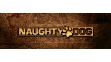 naughty_dog_banner