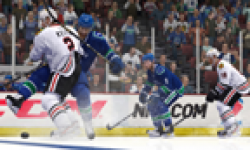 NHL 14 19 04 2013 head