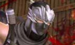 ninja gaiden 2 icon