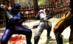 Ninja Gaiden 3 Head 120112 01