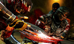 Ninja Gaiden 3 logo vignette 16.03.2012