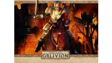 Oblivion ps3 1