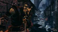 of-orcs-and-men-playstation-3-screenshots (7)