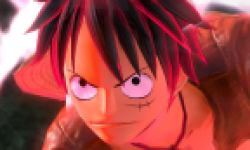 One Piece Kaizoku Musou Head 17092011 01